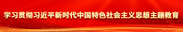 黄片偷偷操学习贯彻习近平新时代中国特色社会主义思想主题教育